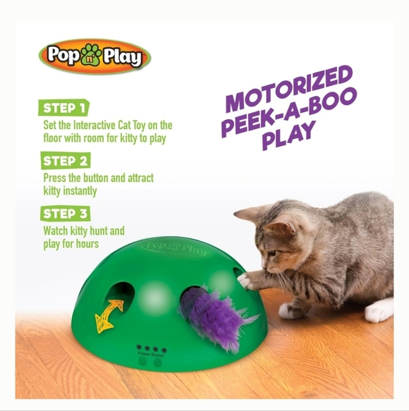 Pets Know Best Pop N Play Interactive Cat Motion Toy, Green - Picture 4 of 12